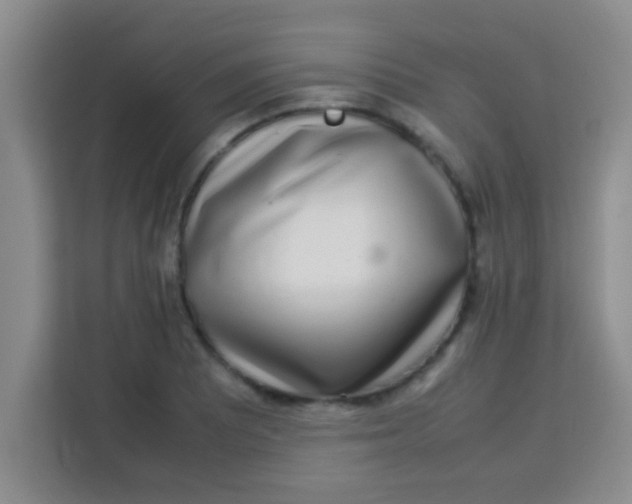 X0000113291081200910051056