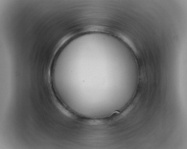 X0000113291082200910051056