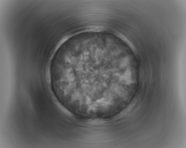 X0000113291083200910051056