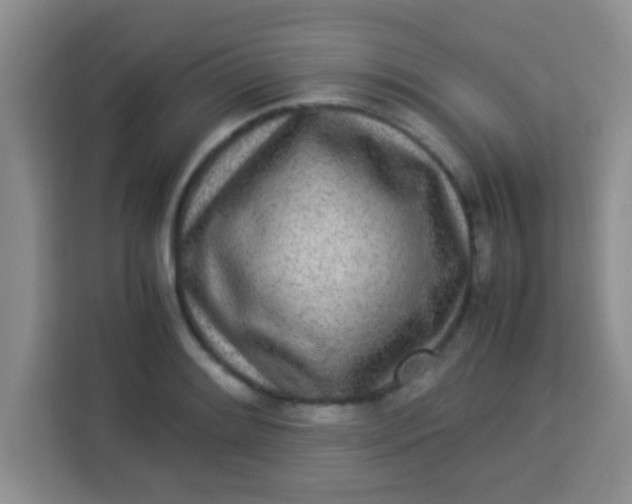 X0000113291084200910051056