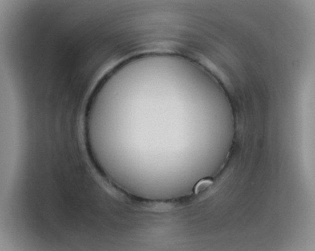 X0000113291085200910051056