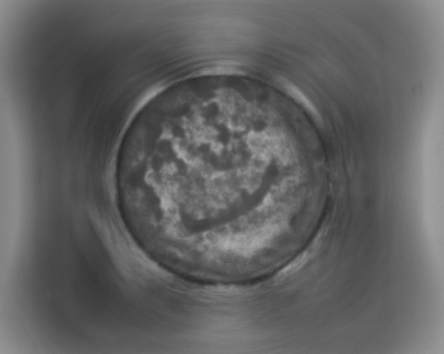 X0000113291087200910051056