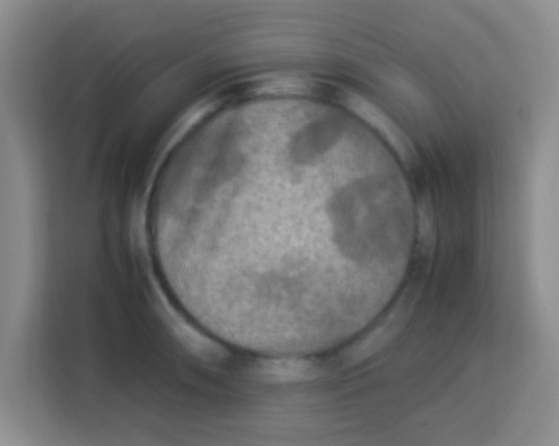 X0000113291090200910051056