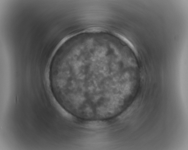 X0000113291091200910051056