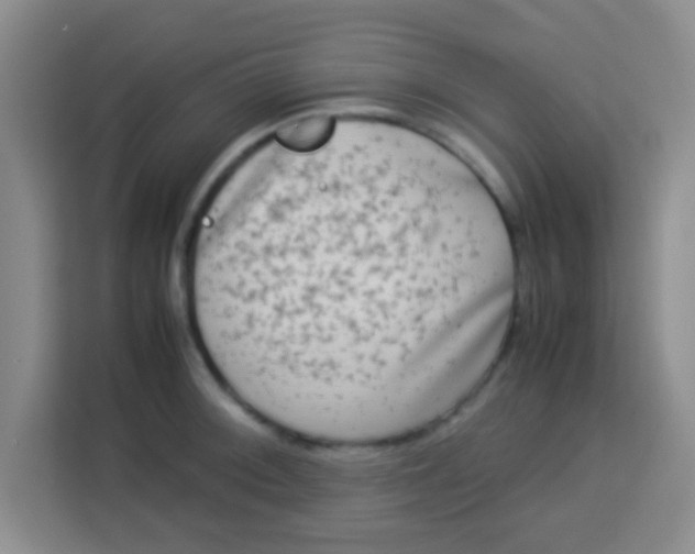 X0000113291092200910051056