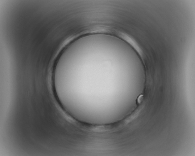 X0000113291093200910051056