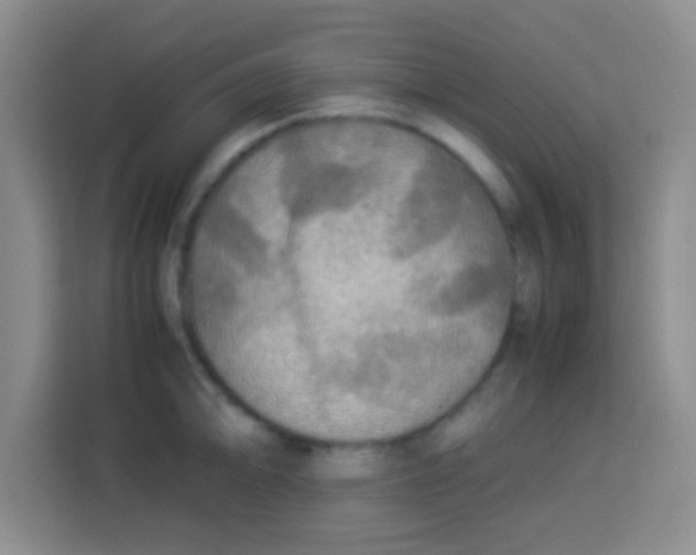 X0000113291094200910051055