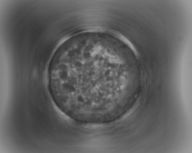 X0000113291095200910051055