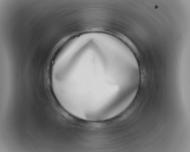 X0000113291096200910051055