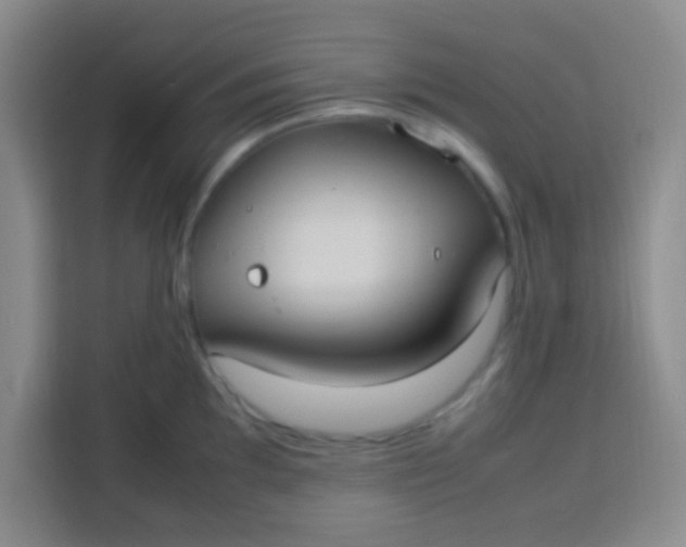 X0000113291097200910051055