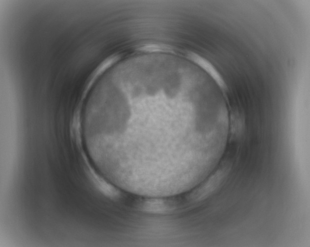 X0000113291098200910051055