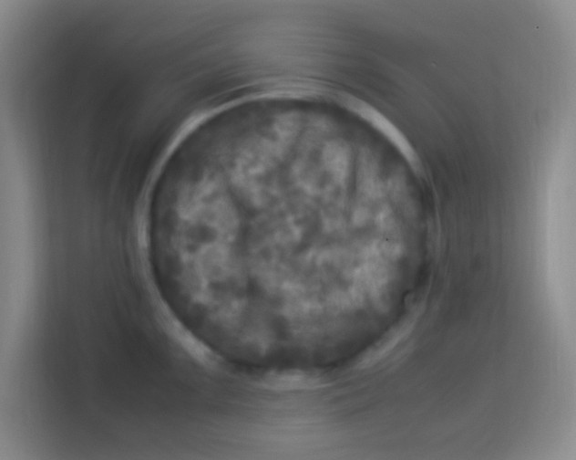 X0000113291099200910051055