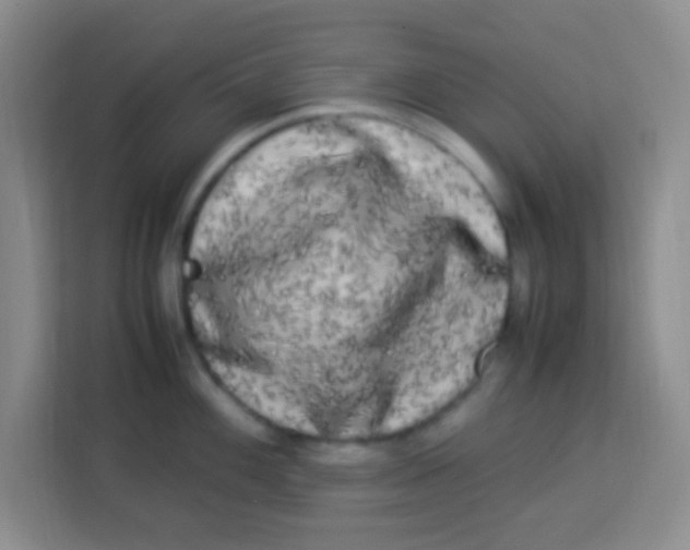 X0000113291100200910051055