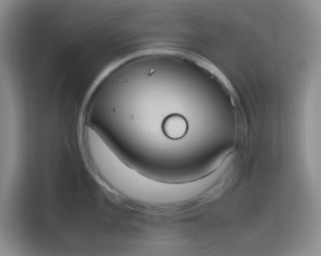 X0000113291101200910051055