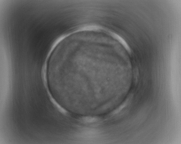 X0000113291103200910051055