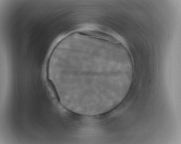 X0000113291104200910051055