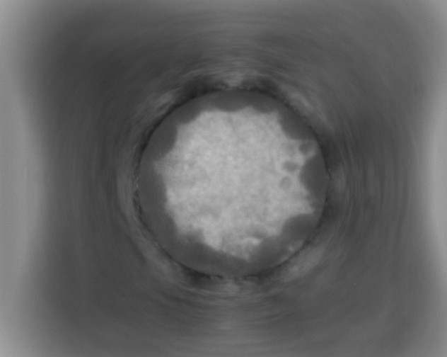 X0000113291105200910051055