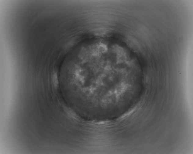 X0000113291106200910051055