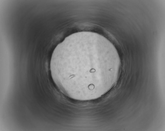 X0000113291108200910051055