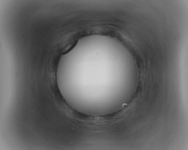 X0000113291109200910051055