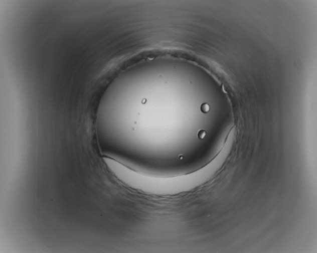 X0000113291110200910051055