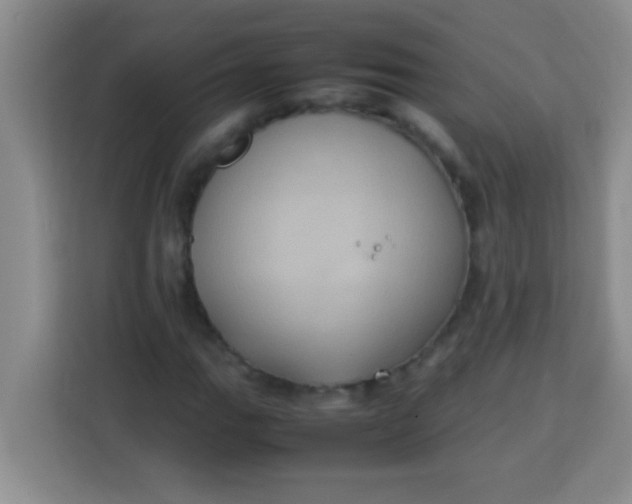 X0000113291111200910051055