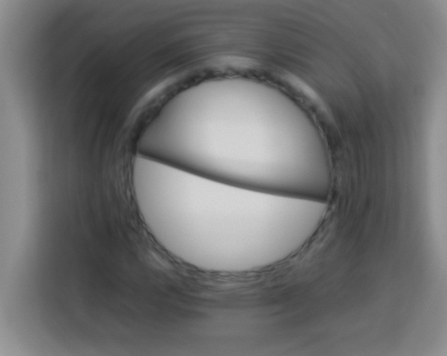 X0000113291112200910051055