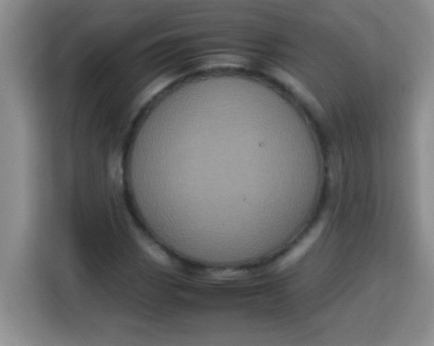 X0000113291113200910051055