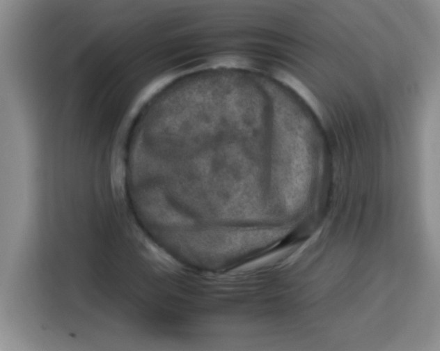 X0000113291115200910051055