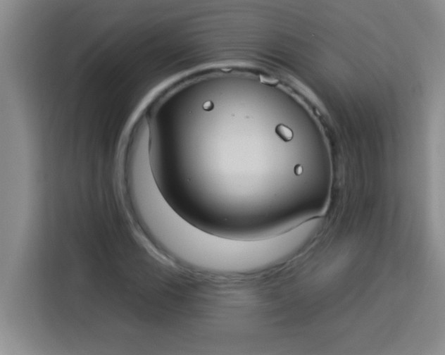 X0000113291116200910051055