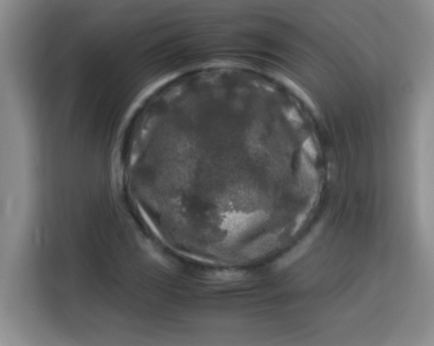 X0000113291117200910051055