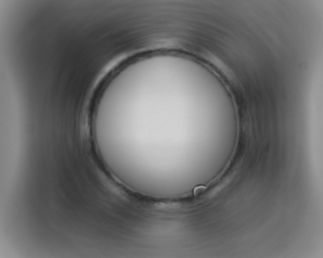 X0000113291118200910051055