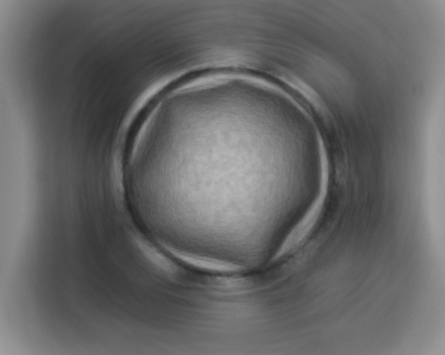 X0000113291120200910051055