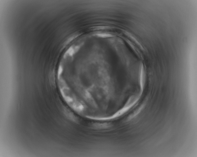 X0000113291121200910051055