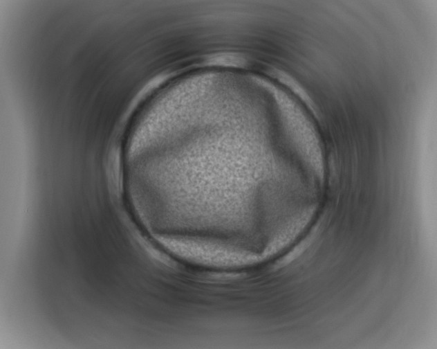 X0000113291123200910051055