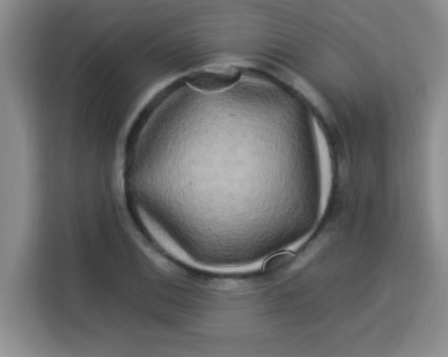 X0000113291124200910051055