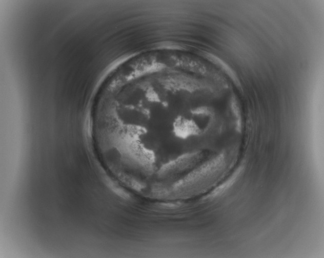 X0000113291125200910051055