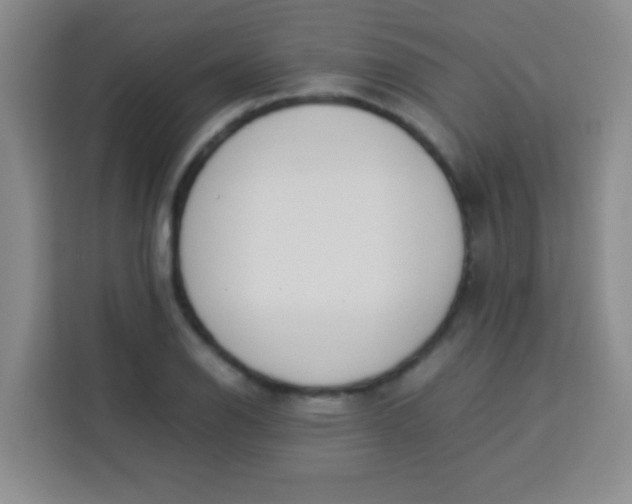 X0000113291126200910051055