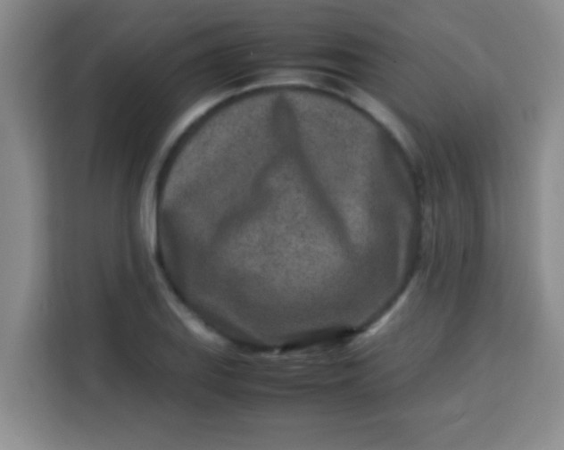 X0000113291127200910051055