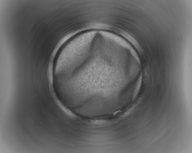 X0000113291128200910051055