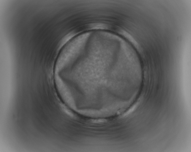 X0000113291129200910051055