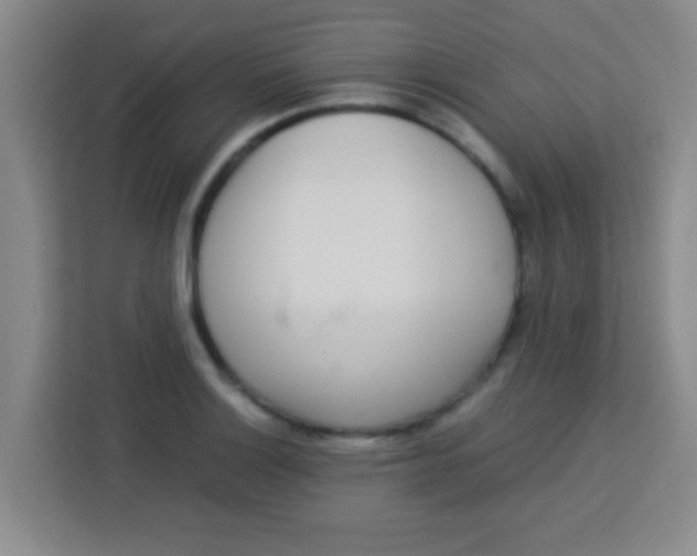 X0000113291132200910051055