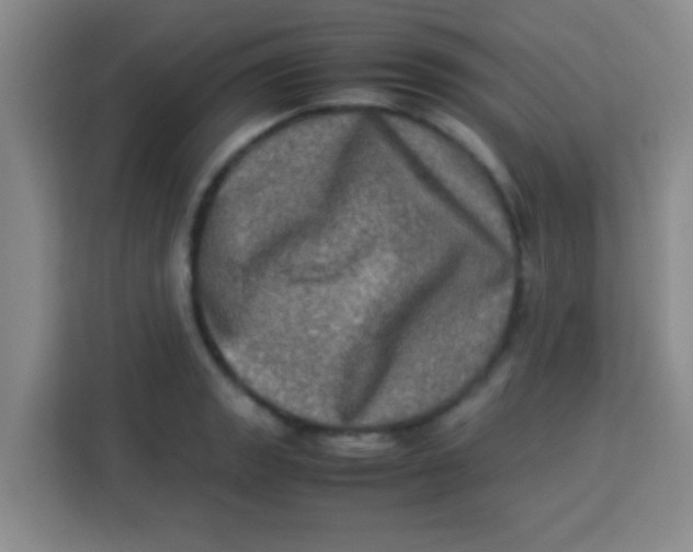 X0000113291133200910051055