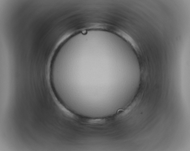 X0000113291135200910051055