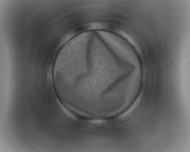 X0000113291137200910051055