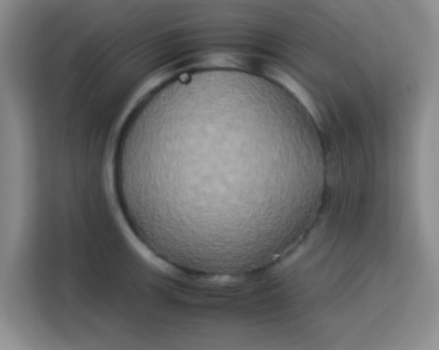 X0000113291139200910051055