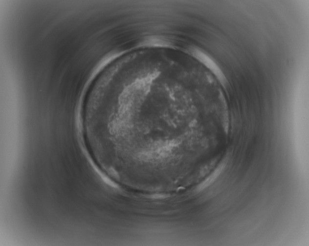 X0000113291141200910051055