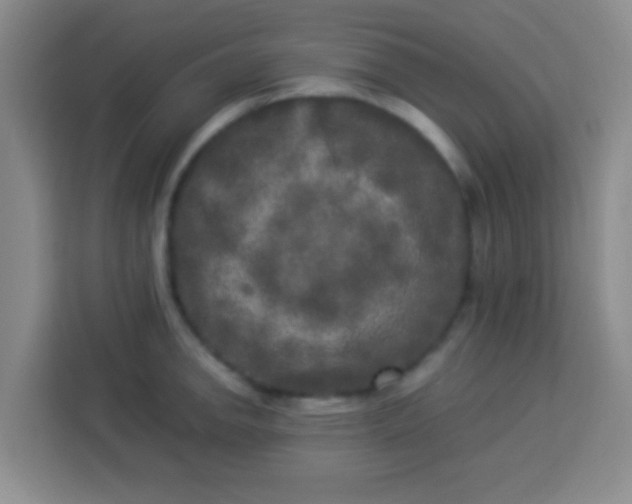 X0000113291142200910051055