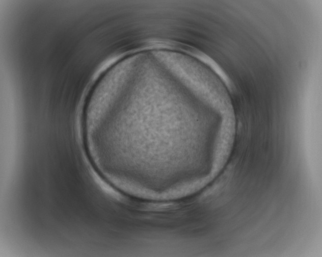 X0000113291143200910051055