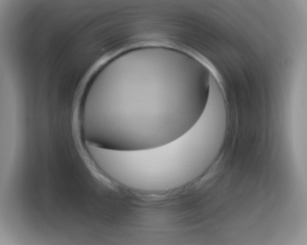 X0000113291144200910051055